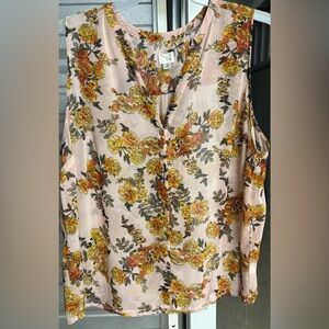 A new day sheer blouse